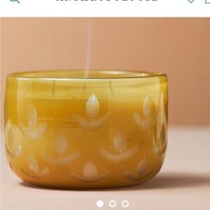 ANTHROPOLOGIE Large Size Rohini Fresh Fern Moss Glass Candle